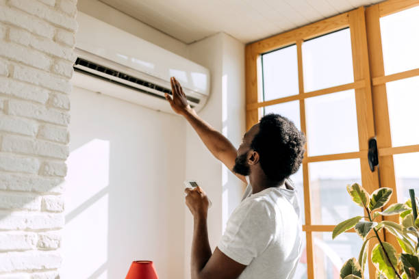 Best Geothermal HVAC Systems in Lake Odessa, MI
